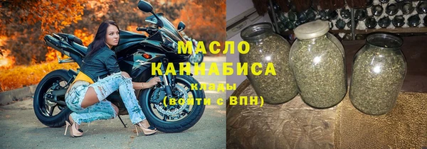 крисы Няндома