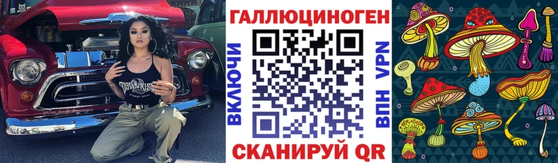 Псилоцибиновые грибы Psilocybine cubensis  KRAKEN ссылки  Красноярск 